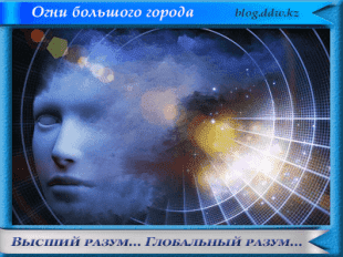 Огни большого города https://obg.kz