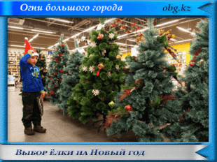 Огни большого города https://obg.kz