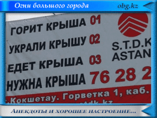 Анекдоты