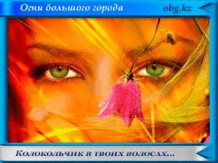 Колокольчик в твоих волосах
